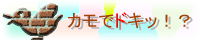 �J���Ńh�L�b�I�H